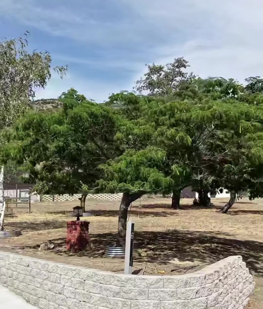 A finished retaining wall with trees planted above